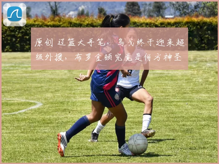 原创 辽篮大手笔，乌戈终于迎来超级外援，布罗金顿究竟是何方神圣？