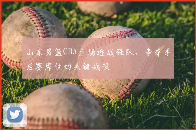 山东男篮CBA主场迎战强队，争夺季后赛席位的关键战役