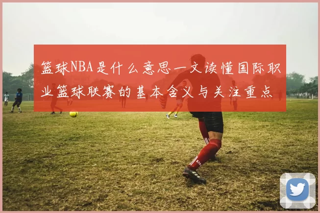 篮球NBA是什么意思一文读懂国际职业篮球联赛的基本含义与关注重点
