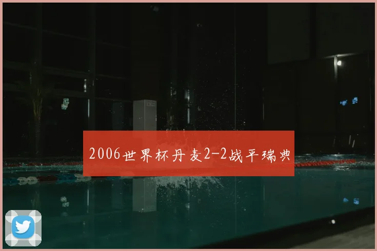 2006世界杯丹麦2-2战平瑞典
