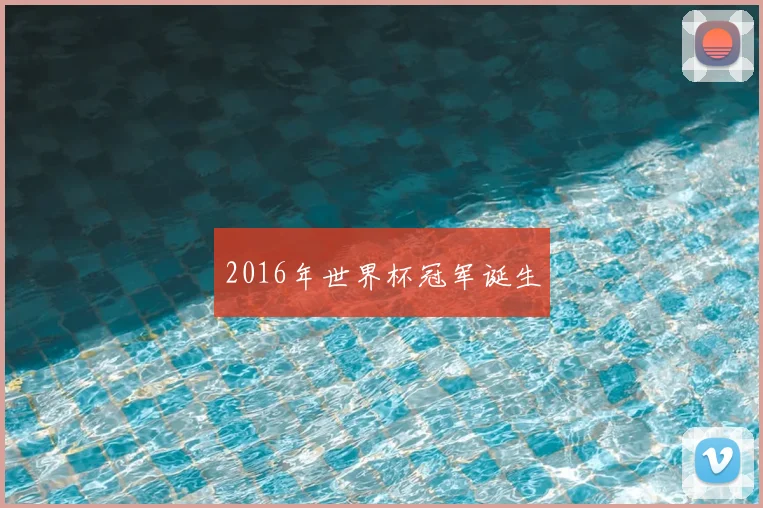 2016年世界杯冠军诞生