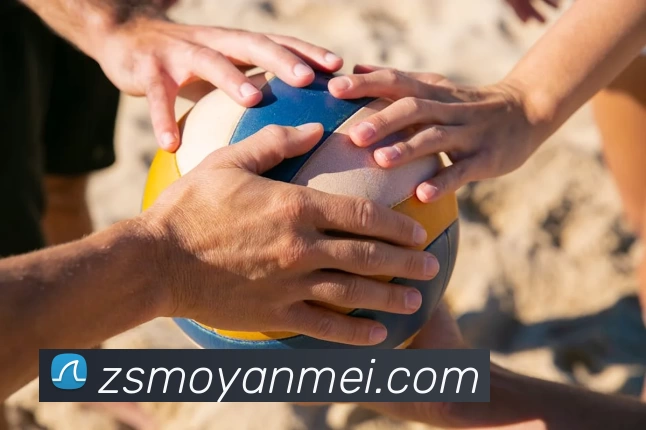 必一体育sport官网服务体系